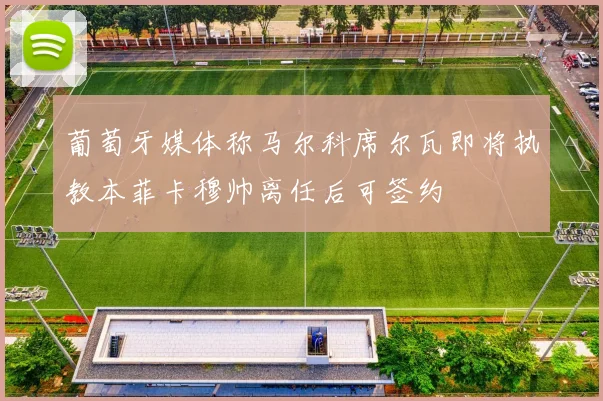 葡萄牙媒体称马尔科席尔瓦即将执教本菲卡穆帅离任后可签约