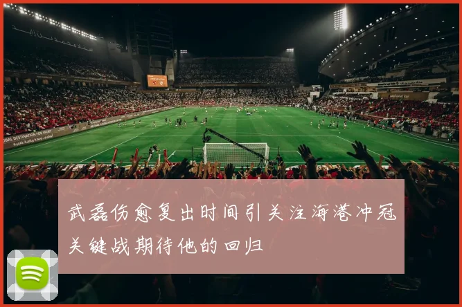 武磊伤愈复出时间引关注海港冲冠关键战期待他的回归