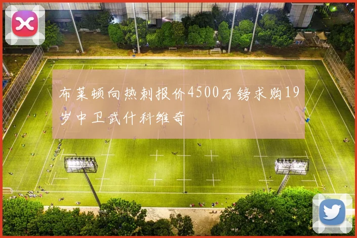 布莱顿向热刺报价4500万镑求购19岁中卫武什科维奇